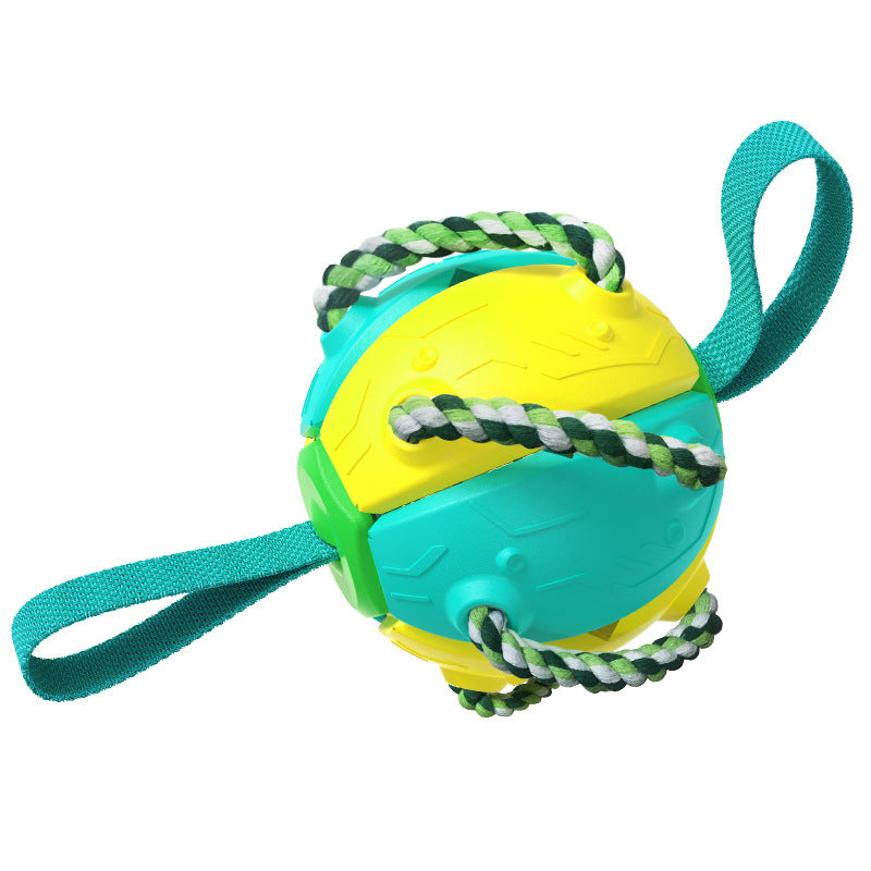 Interactif chien Flying Disc jouet pour d’extérieur Fetch et dressage