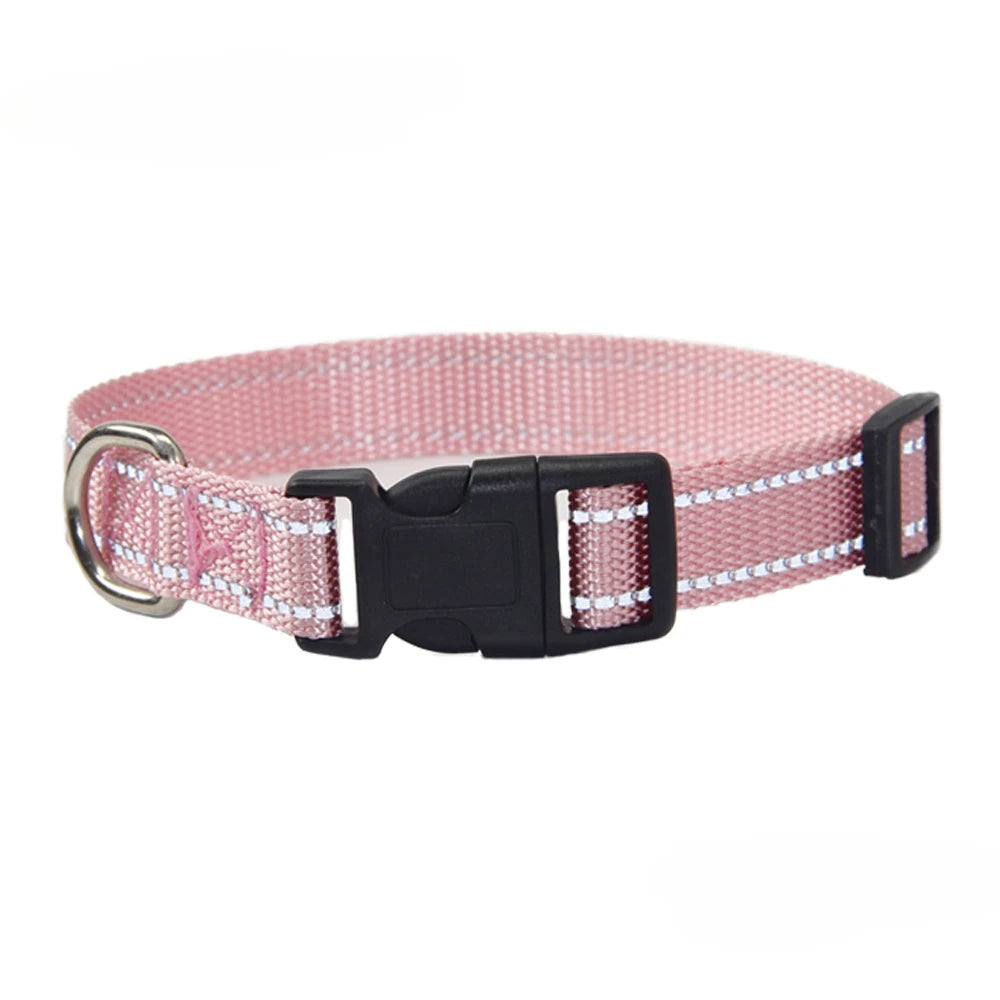 Conjunto de Trela e Coleira de Nylon para Cães Pequenos, Médios e Grandes