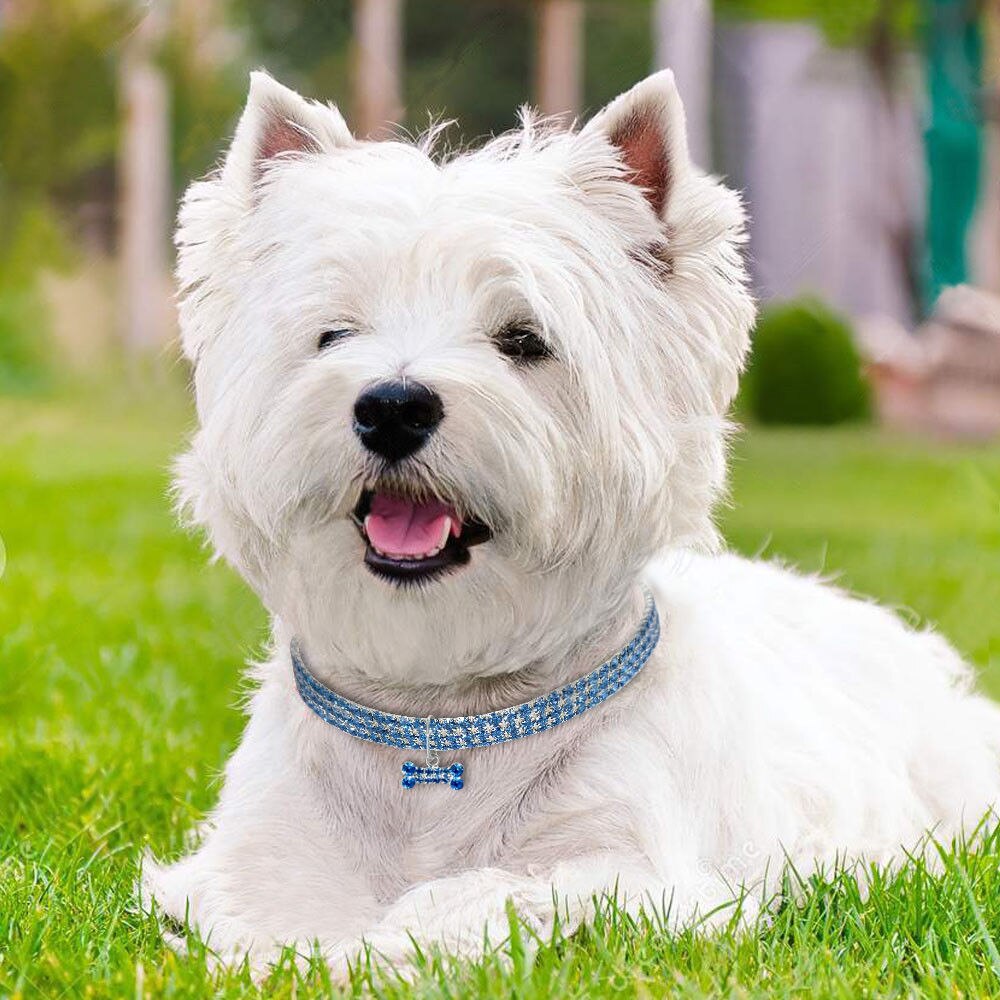 Coleira Bling para Animais de Estimação com Pendente de Osso, Coleira de Joias de Cristal para Gatos e Cães Pequenos