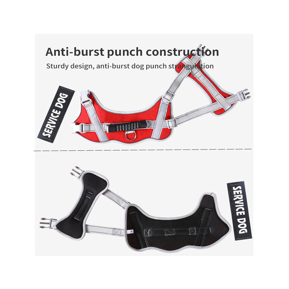 Nova coleira para animais de estimação, correia peitoral para cães, corrente para cães, corda, artigos para animais de estimação de grande porte