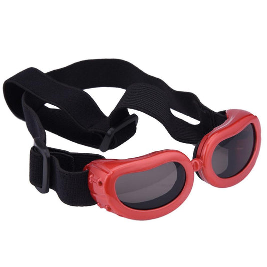 Pet Sunglasses – UV Eye Protection for Dogs & Cats