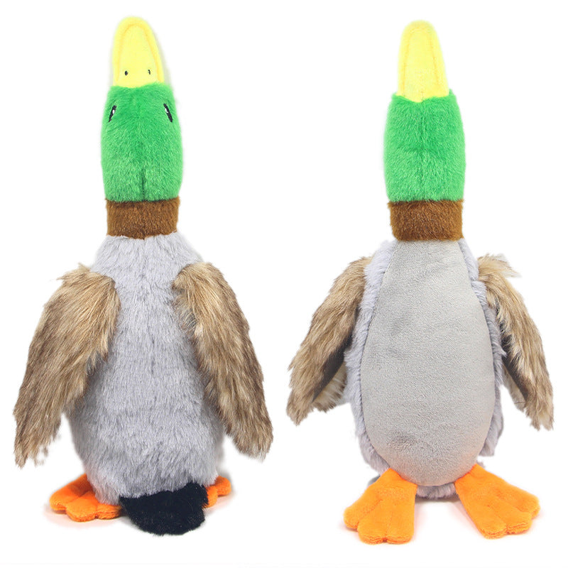 Plush Wild Duck Squeaky chien jouet pour interactif Play
