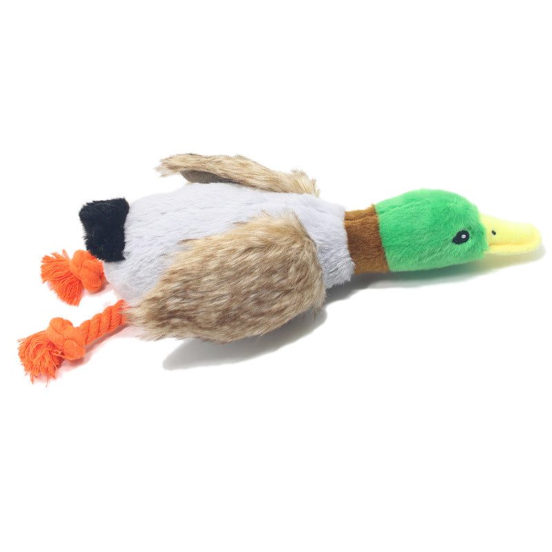 Plush Wild Duck Squeaky chien jouet pour interactif Play