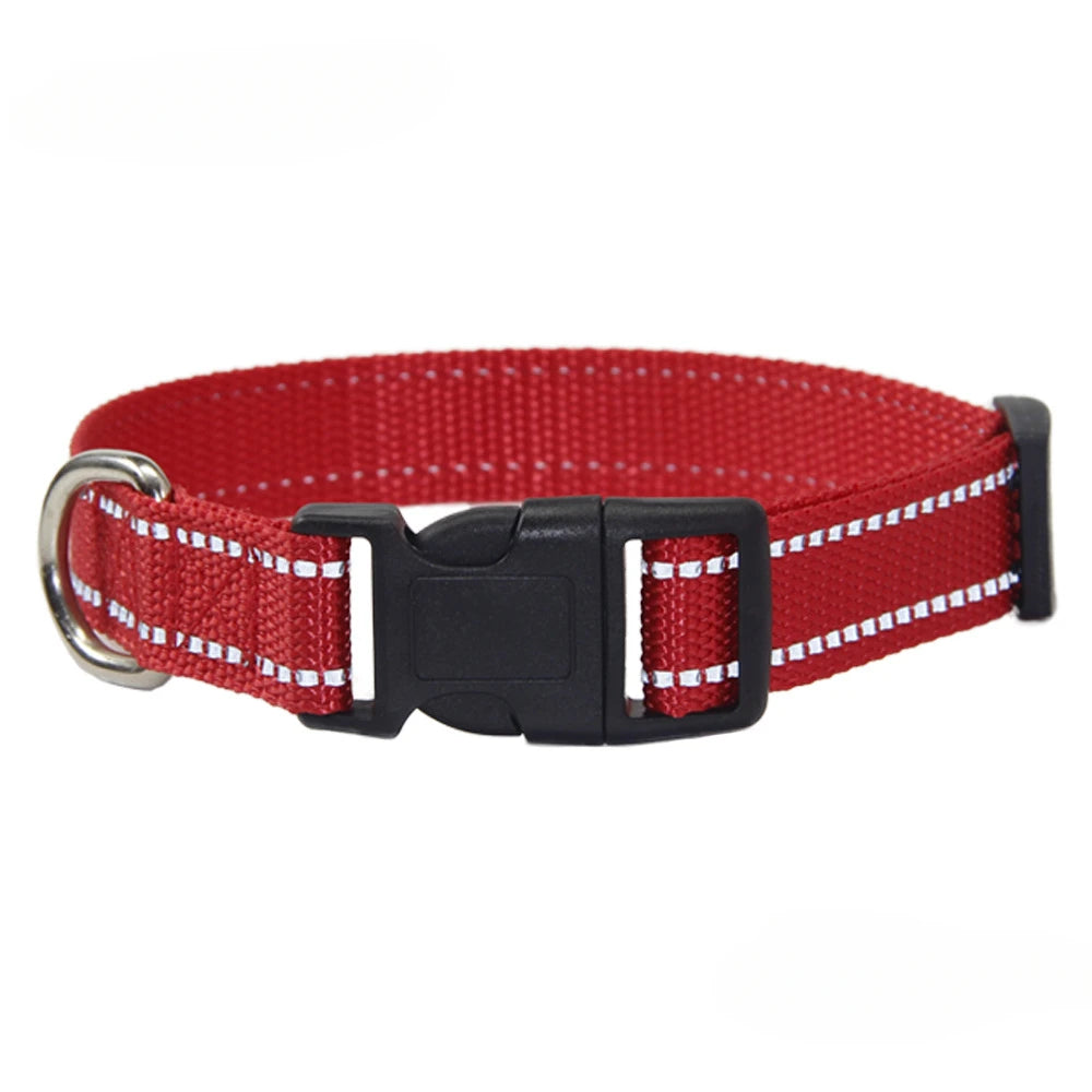Conjunto de Trela e Coleira de Nylon para Cães Pequenos, Médios e Grandes