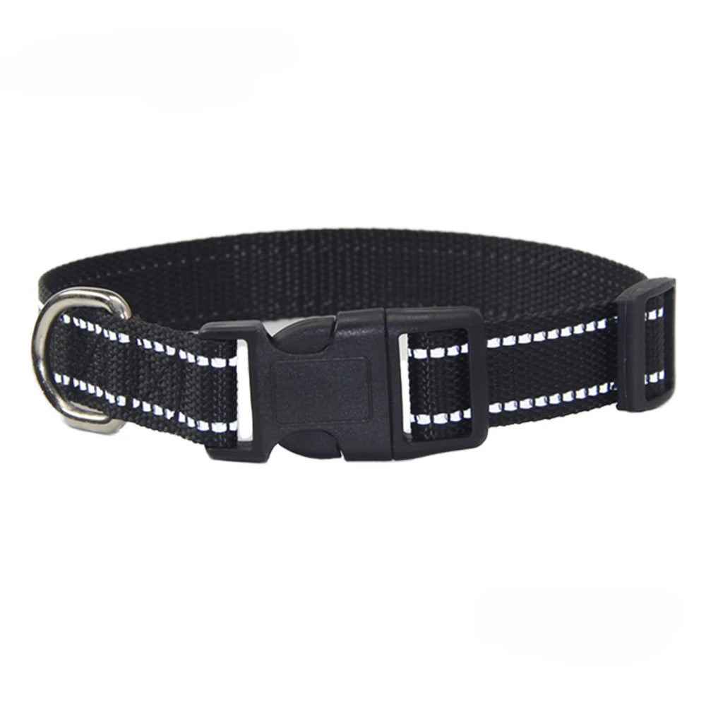 Conjunto de Trela e Coleira de Nylon para Cães Pequenos, Médios e Grandes