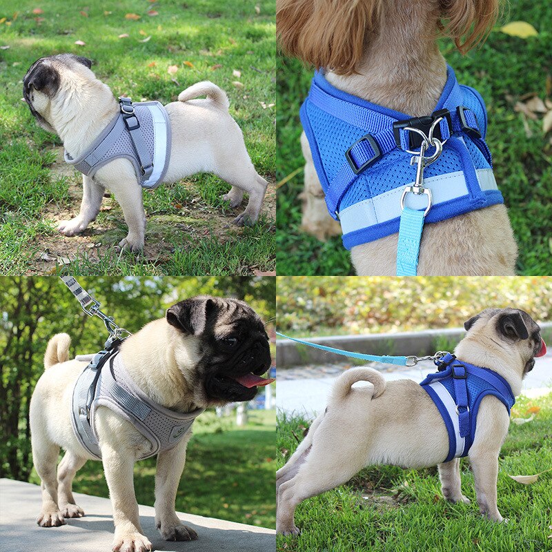 Conjunto de Coleira e Trela Refletor para Cães Pequenos e Médios