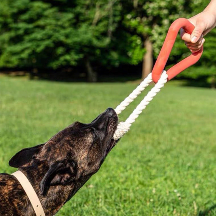 TPR Triangle Tug jouet pour chiens, interactif Chew et dressage jouet