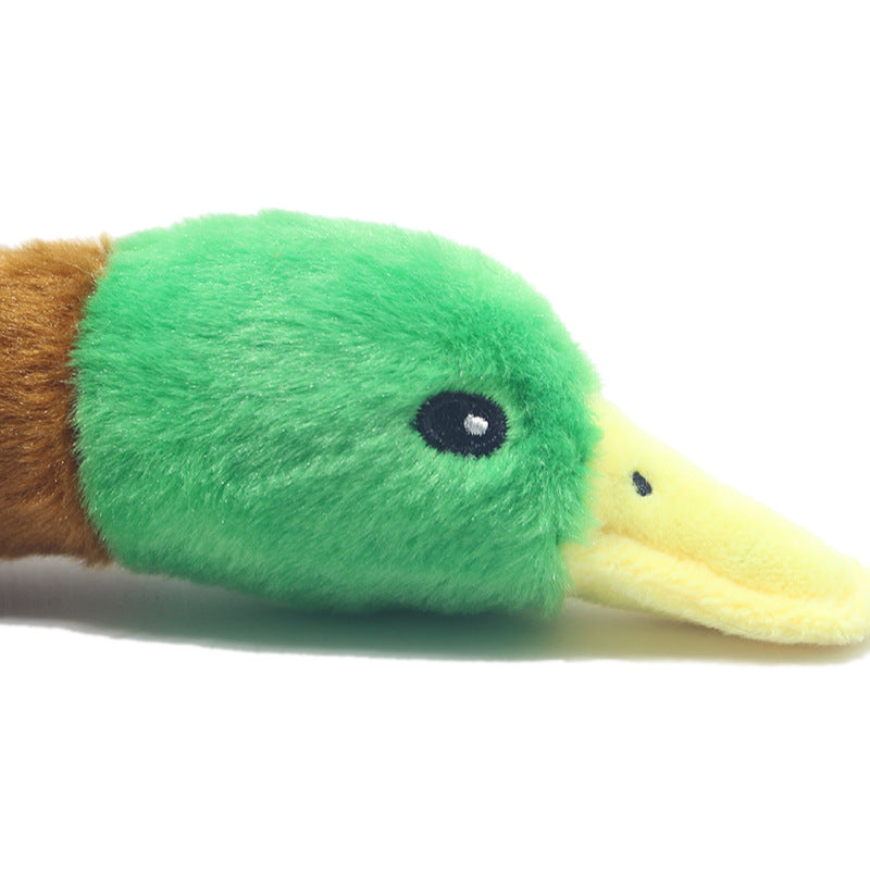 Plush Wild Duck Squeaky chien jouet pour interactif Play