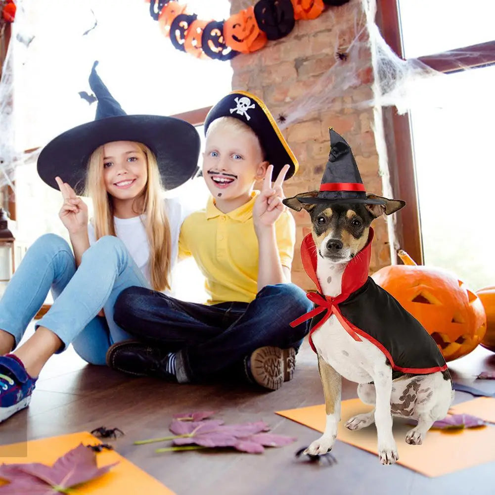 Conjunto de Capa e Chapéu de Halloween para Cães e Gatos, Disfarce de Cosplay