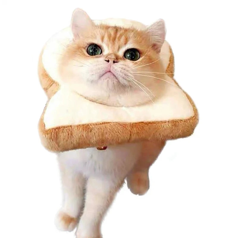 Toast animal Headgear pour chats, Funny Soft Costume Hat pour Photos et Dress-Up