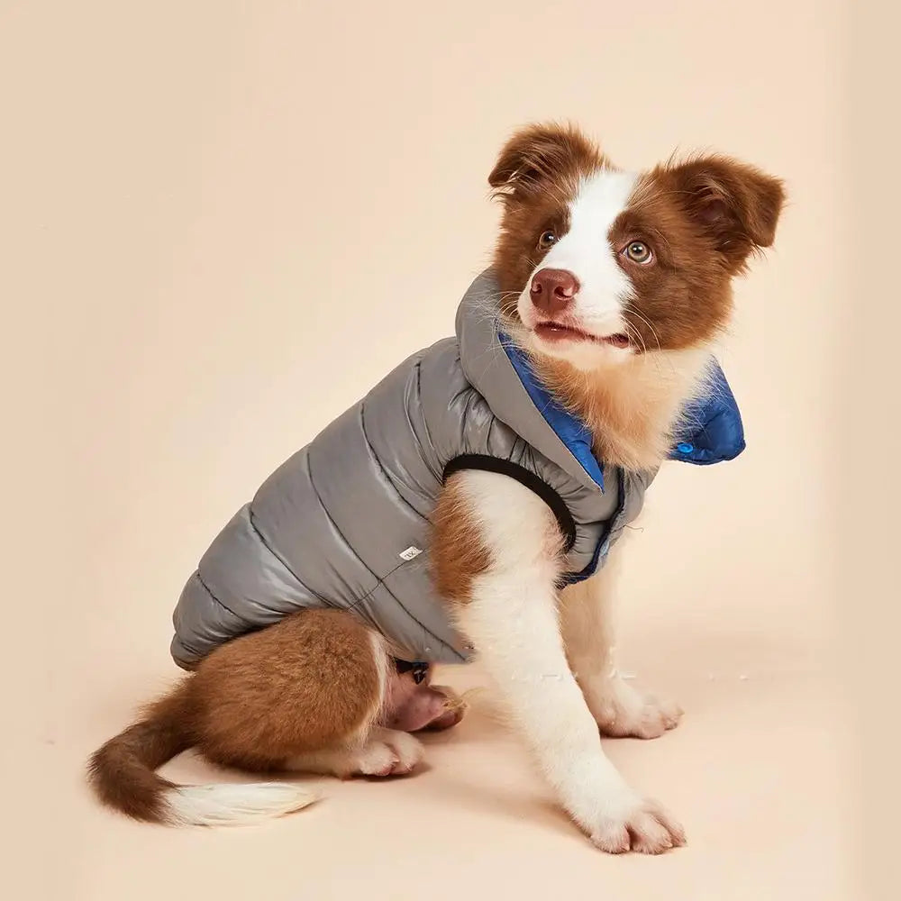 Camisola Quente de Outono e Inverno para Cães Pequenos e Médios