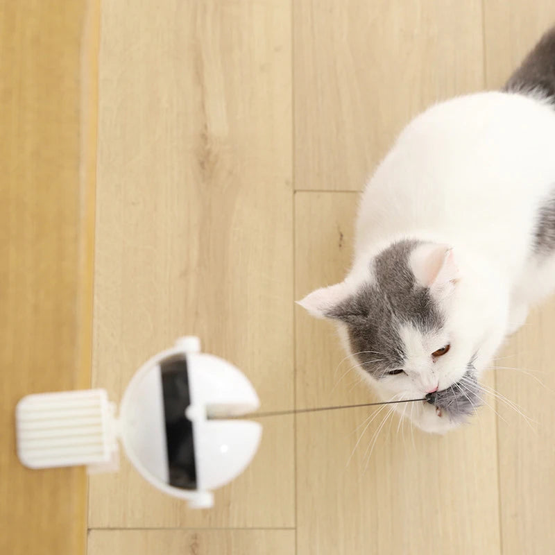 Electric Cat Ball Toy – Interactive Lifting Teaser for Smart Playtime