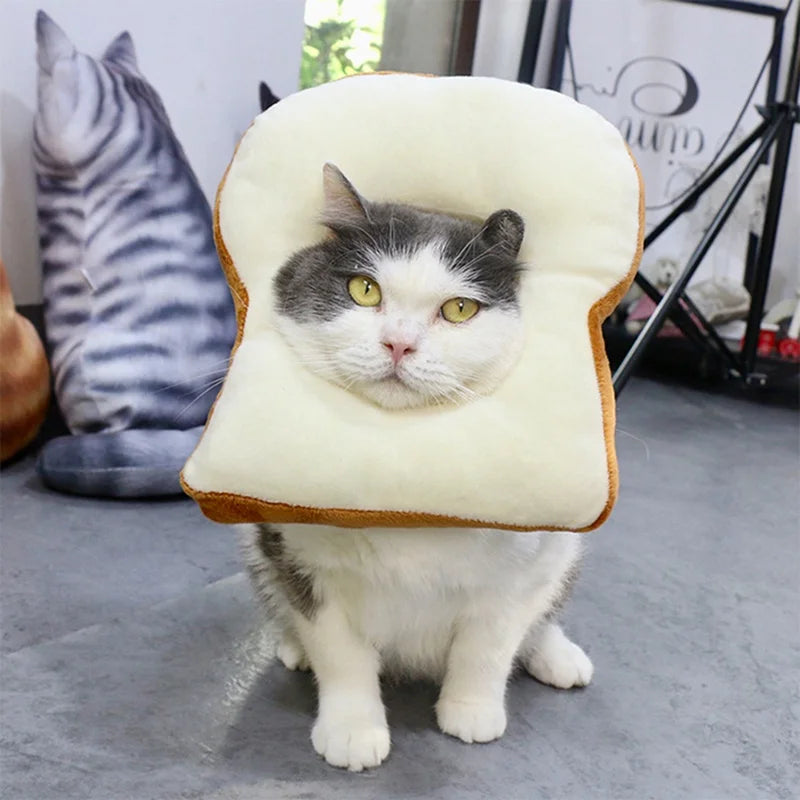 Chapéu de brinde para gatos, chapéu de fantasia macio e engraçado para fotos e disfarces
