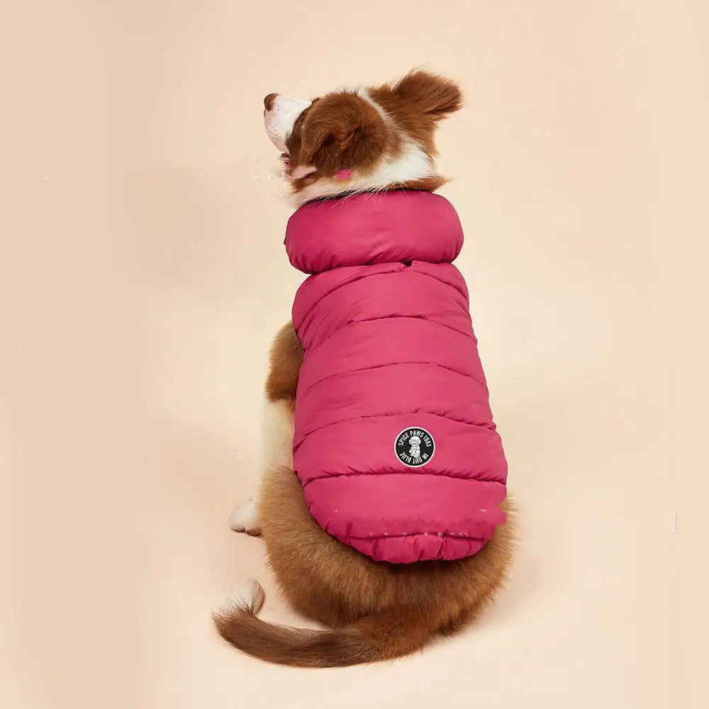 Camisola Quente de Outono e Inverno para Cães Pequenos e Médios