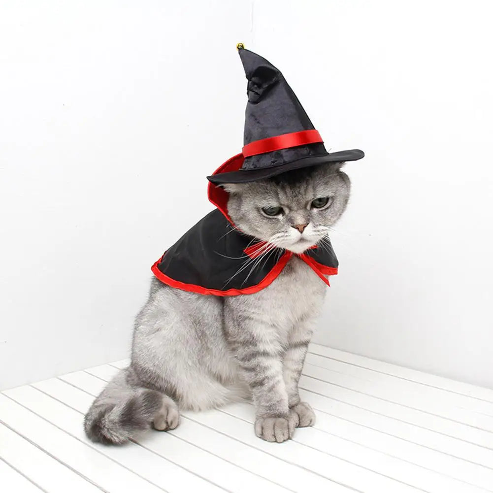 Conjunto de Capa e Chapéu de Halloween para Cães e Gatos, Disfarce de Cosplay