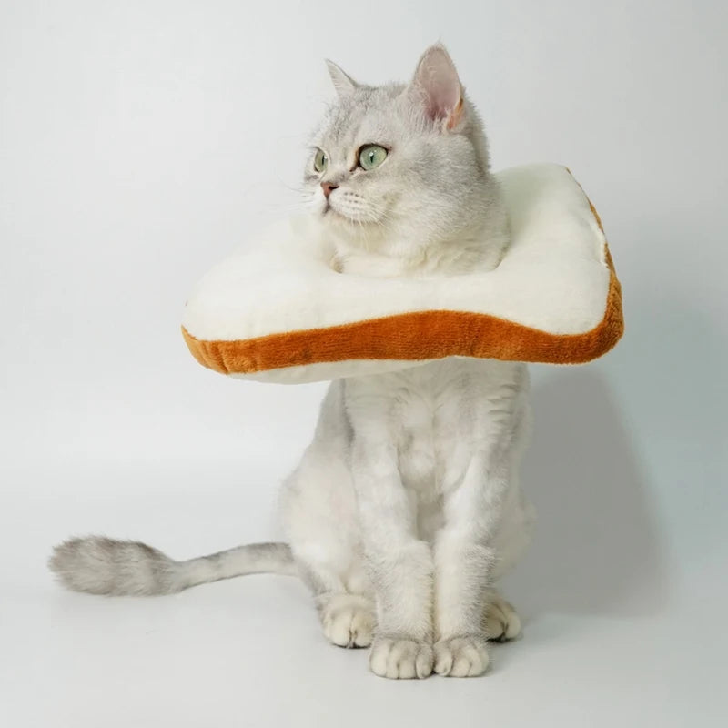 Chapéu de brinde para gatos, chapéu de fantasia macio e engraçado para fotos e disfarces