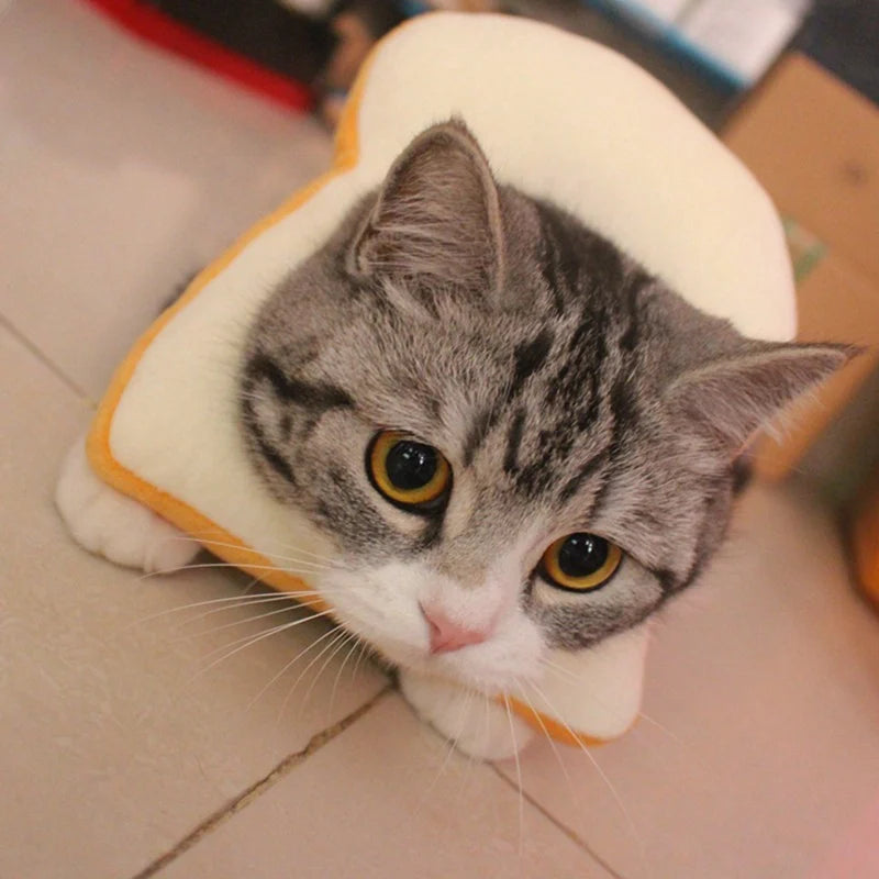 Chapéu de brinde para gatos, chapéu de fantasia macio e engraçado para fotos e disfarces