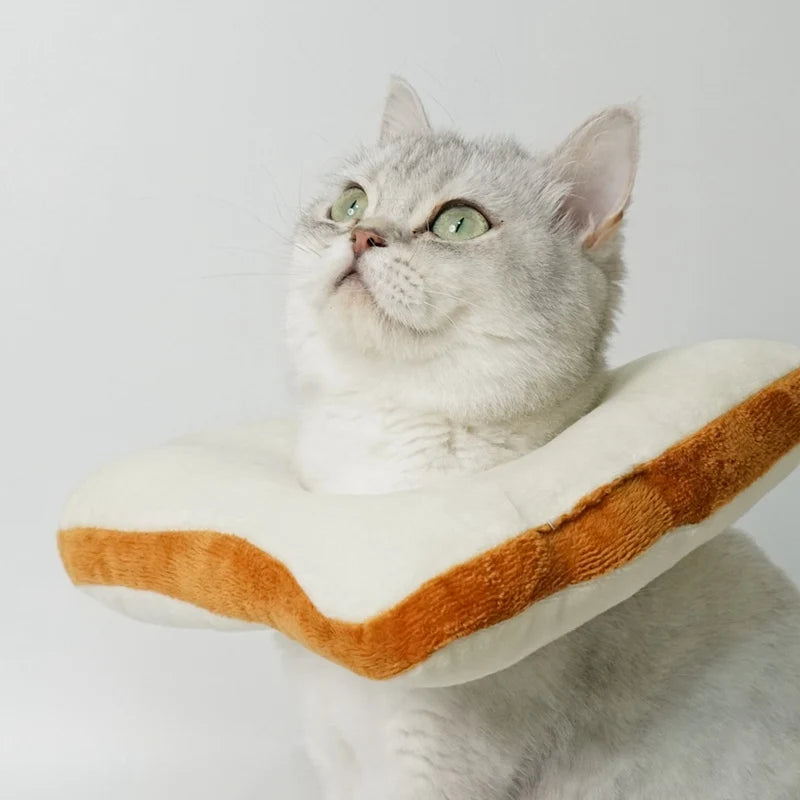 Chapéu de brinde para gatos, chapéu de fantasia macio e engraçado para fotos e disfarces