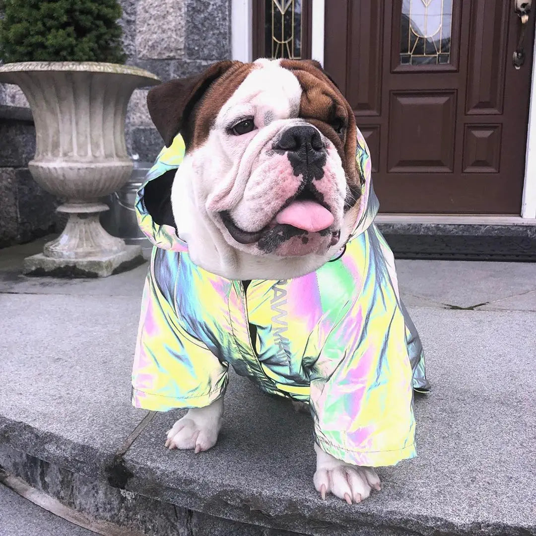 Casaco Corta-Vento Refletor com Capuz para Cães Pequenos e Médios