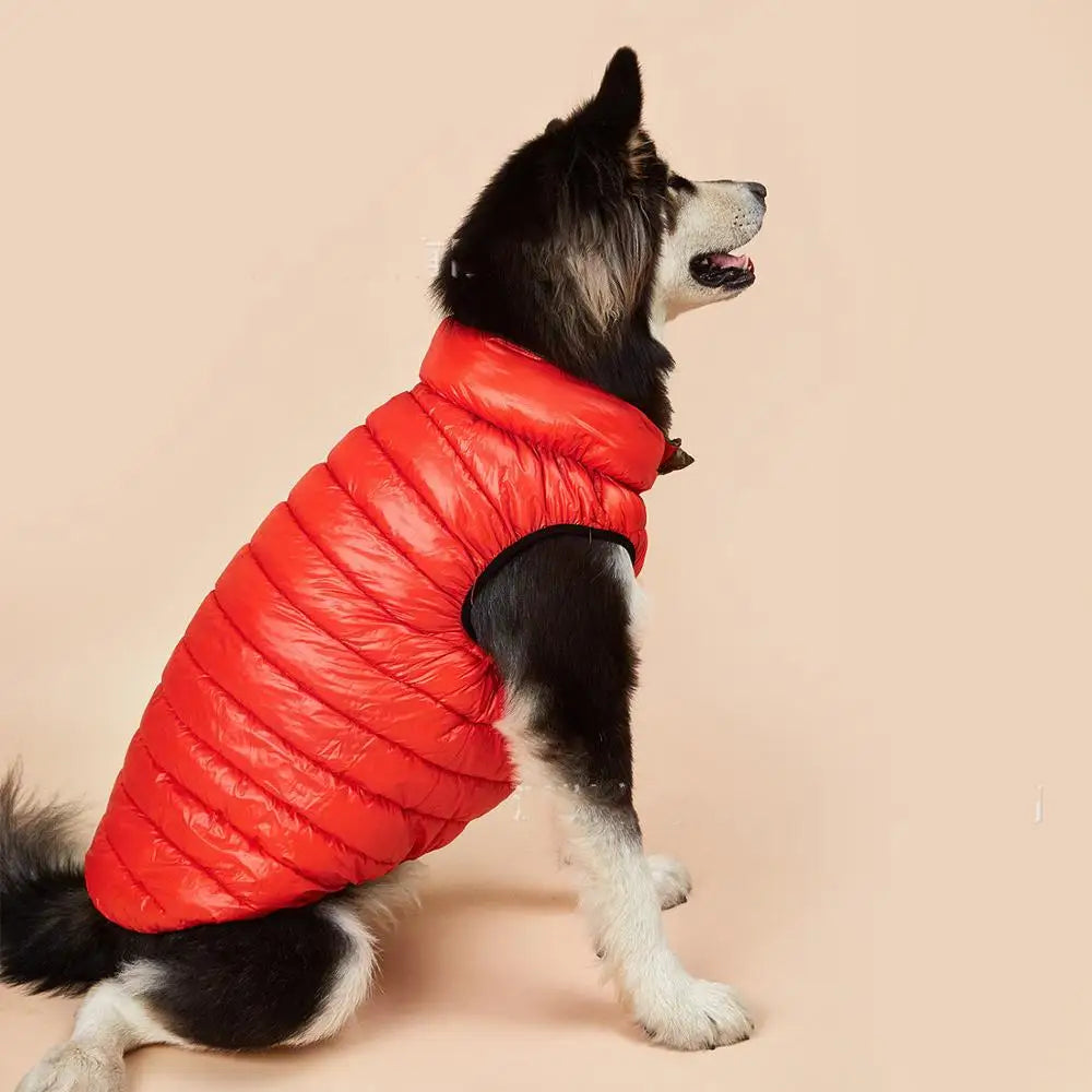 Camisola Quente de Outono e Inverno para Cães Pequenos e Médios