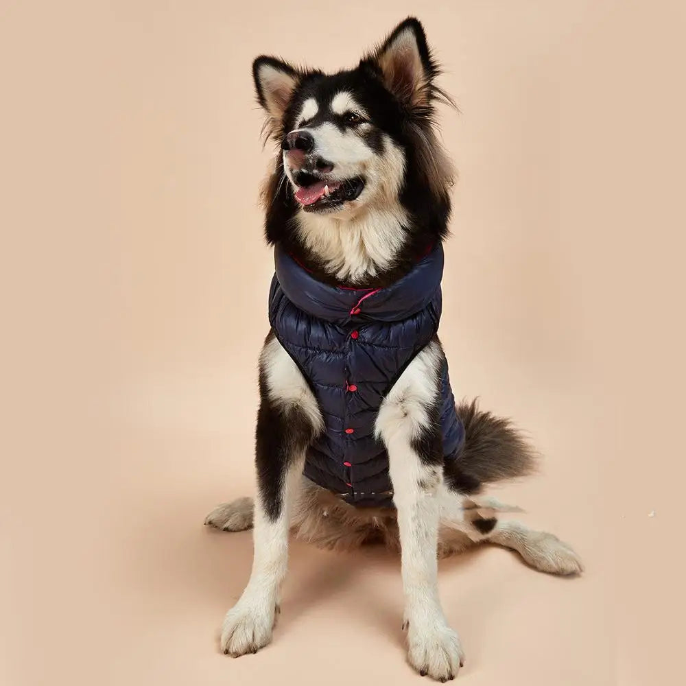 Camisola Quente de Outono e Inverno para Cães Pequenos e Médios