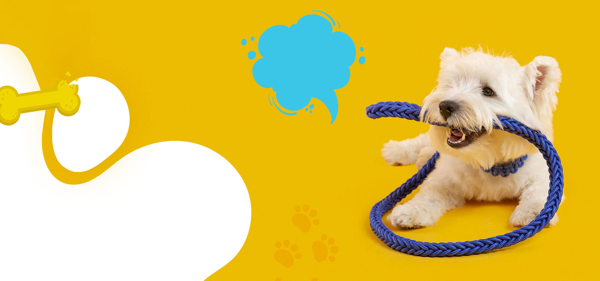 Jouets, accessoires et essentiels du quotidien